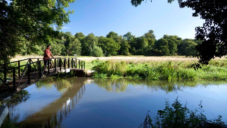 Man standing on the footbridge over the River Wey near Bowers Lock, Surrey, at River Wey and Godalming Navigations and Dapdune Wharf